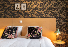 Hotel Goud & Zilver Hotel Goud & Zilver